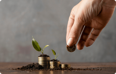 مکسی کارت 5 19692 45